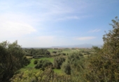 Casa de campo con terreno en venta en la España, Muro, ref: TR165408 foto
