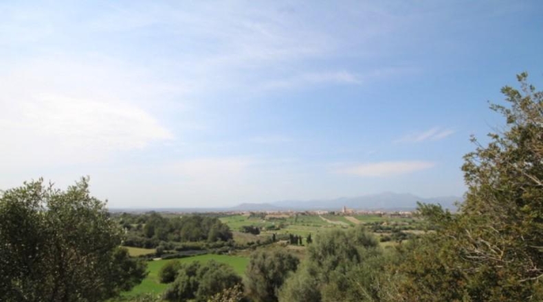 Islas Baleares - Muro - 16098m2