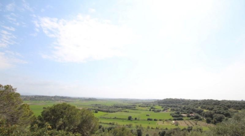 Islas Baleares - Muro - 16098m2