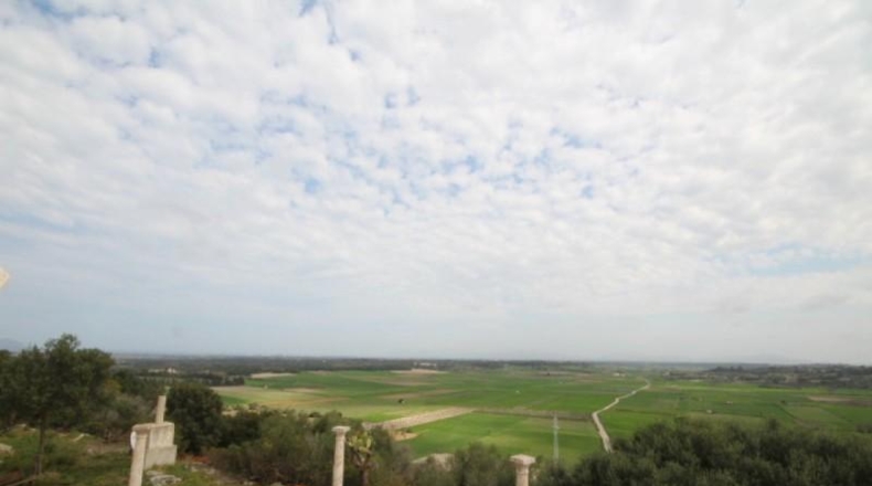 Islas Baleares - Muro - 16098m2