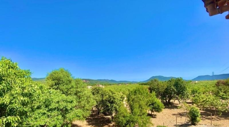 Islas Baleares - sa Pobla - 17000m2