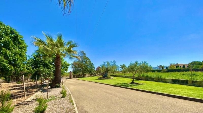 Islas Baleares - sa Pobla - 17000m2