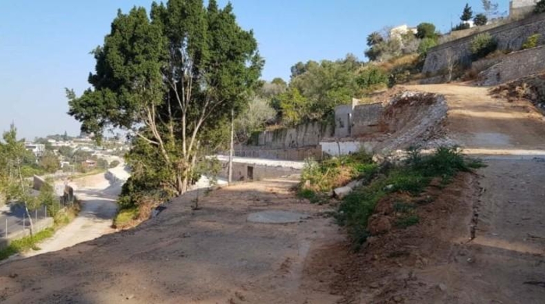 Valencia - Alcira - 42570m2