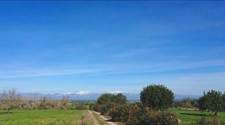 Islas Baleares - Algaida - 550000m2