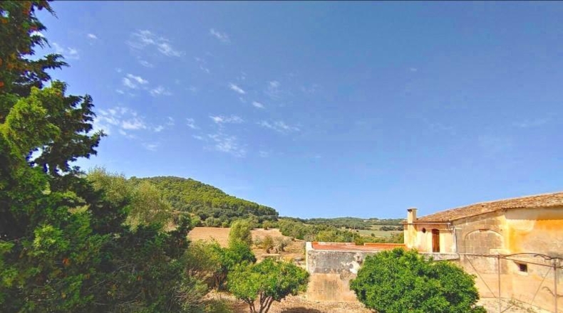Islas Baleares - Algaida - 550000m2