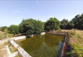 Casa de camp amb terreny en venda a la España, Algaida, ref.: TR167143 foto
