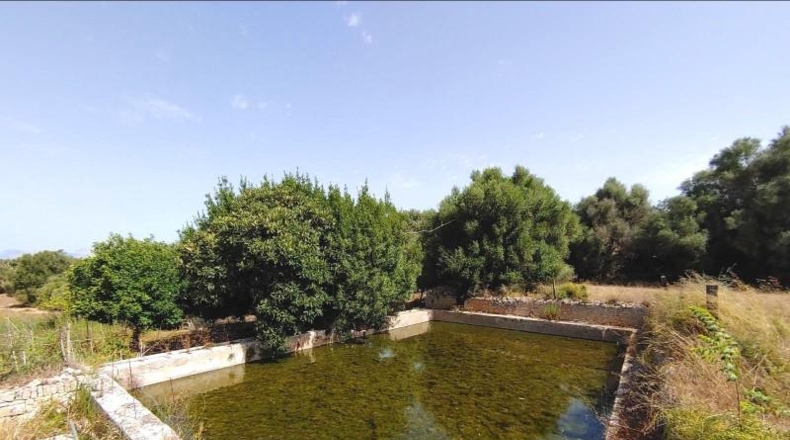 Islas Baleares - Algaida - 550000m2