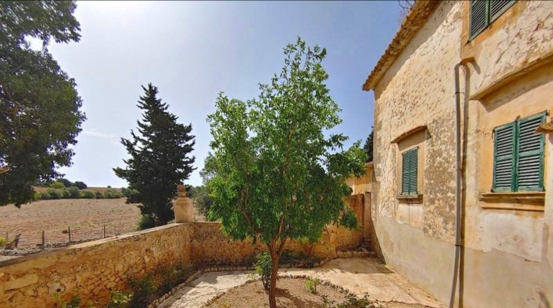 Islas Baleares - Algaida - 550000m2