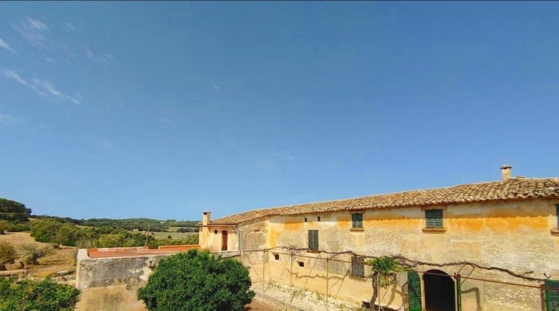 Islas Baleares - Algaida - 550000m2