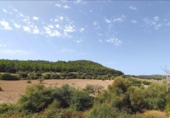 Casa de camp amb terreny en venda a la España, Algaida, ref.: TR167143 foto
