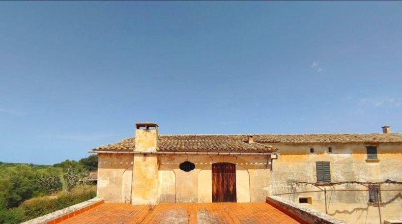 Islas Baleares - Algaida - 550000m2