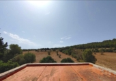 Casa de camp amb terreny en venda a la España, Algaida, ref.: TR167143 foto