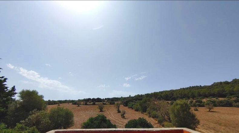 Islas Baleares - Algaida - 550000m2