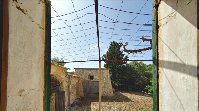 Islas Baleares - Algaida - 550000m2