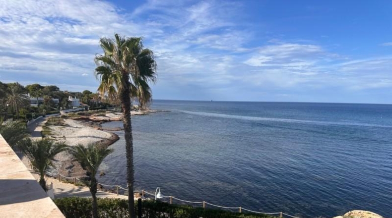 Alicante - Denia - 3029m2