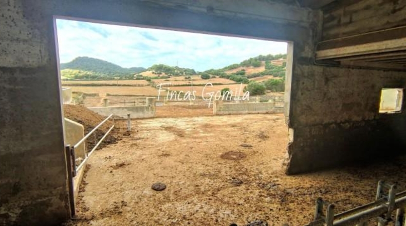 Islas Baleares - Ciutadella - 527029m2