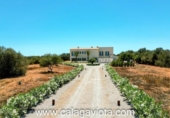 Chalet independiente con terreno en venta en la España, Ses Salines, ref: TR136528 foto