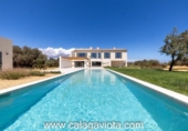 Chalet independiente con terreno en venta en la España, Ses Salines, ref: TR136528 foto
