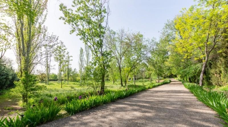 Comunidad de Madrid - Alcalá de Henares - 110000m2