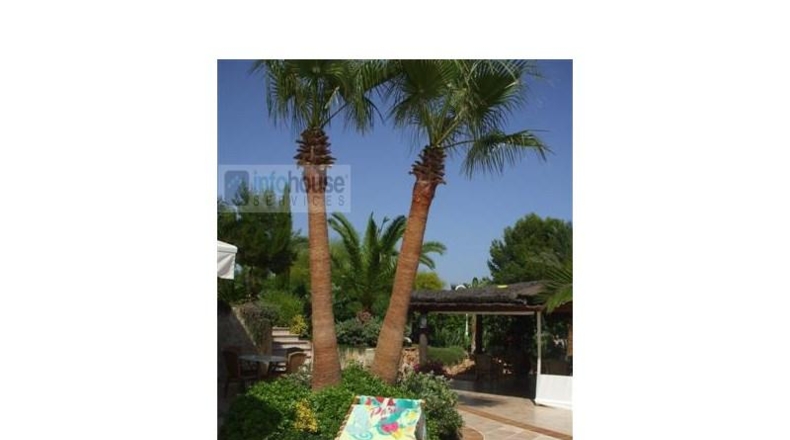 Islas Baleares - Calvià - 4000m2