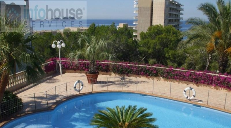 Islas Baleares - Calvià - 4000m2