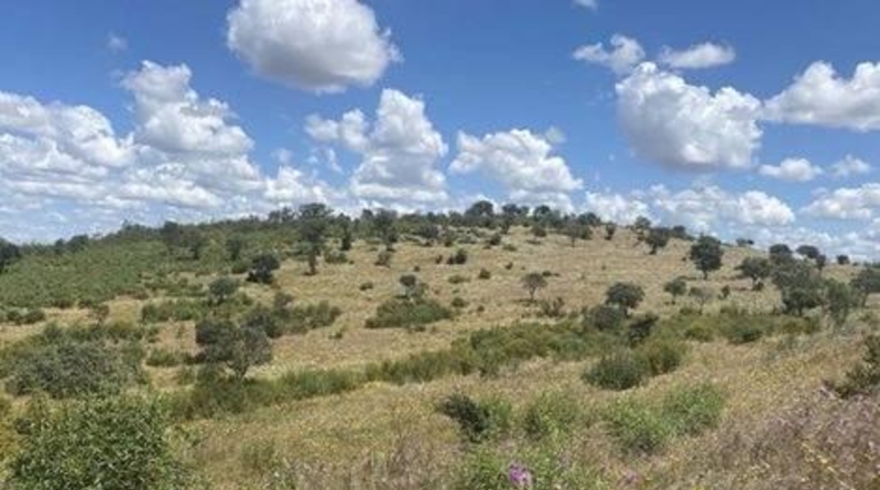 Huelva - Puebla de Guzmán - 9323200m2