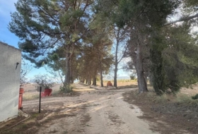Foto 14
