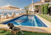 Chalet independiente con terreno en venta en la España, Pino Alto-Santa Úrsula, ref: TR282689 foto