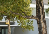 Finca rústica en venta en la España, Benalmádena, ref: TR294838 foto