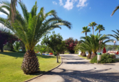 Casa de campo con terreno en venta en la España, Ciutadella de Menorca, ref: TR139995 foto