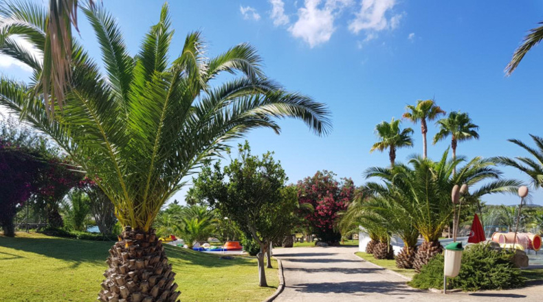 Islas Baleares - Ciutadella - 87925m2
