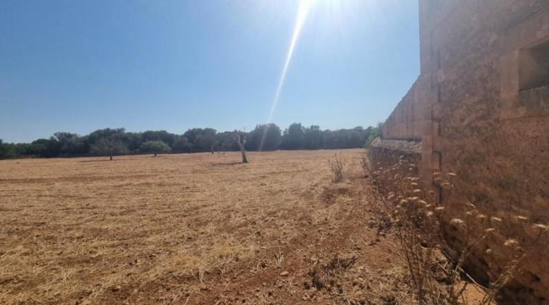 Balearic Islands - Algaida - 980000m2