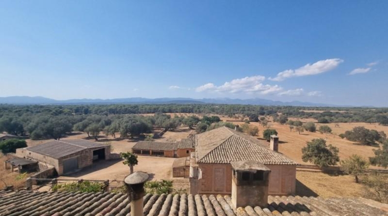 Balearic Islands - Algaida - 980000m2