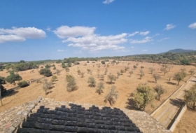 Foto 14