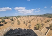 Chalet independiente con terreno en venta en la España, Algaida, ref: TR236610 foto