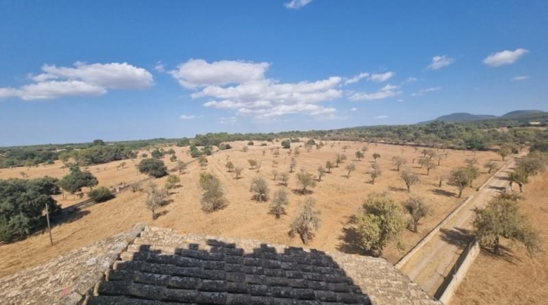 Balearic Islands - Algaida - 980000m2