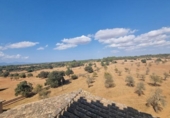Chalet independiente con terreno en venta en la España, Algaida, ref: TR236610 foto
