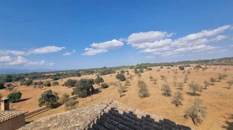 Balearic Islands - Algaida - 980000m2