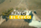 Chalet independiente con terreno en venta en la España, Barrax, ref: TR138943 foto