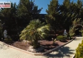 Chalet independiente con terreno en venta en la España, Barrax, ref: TR138943 foto