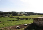 Casa de campo con terreno en venta en la España, Ciutadella de Menorca, ref: TR143060 foto