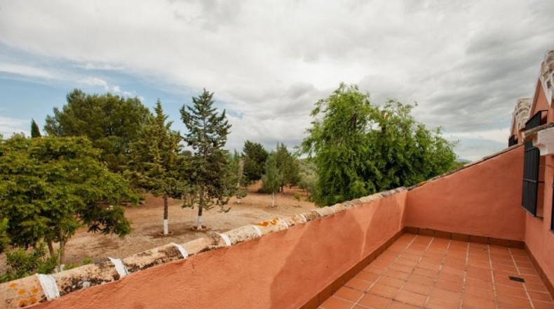 Málaga - Archidona - 320000m2