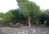 Casa de campo con terreno en venta en la España, Mahón, ref: TR238929 foto