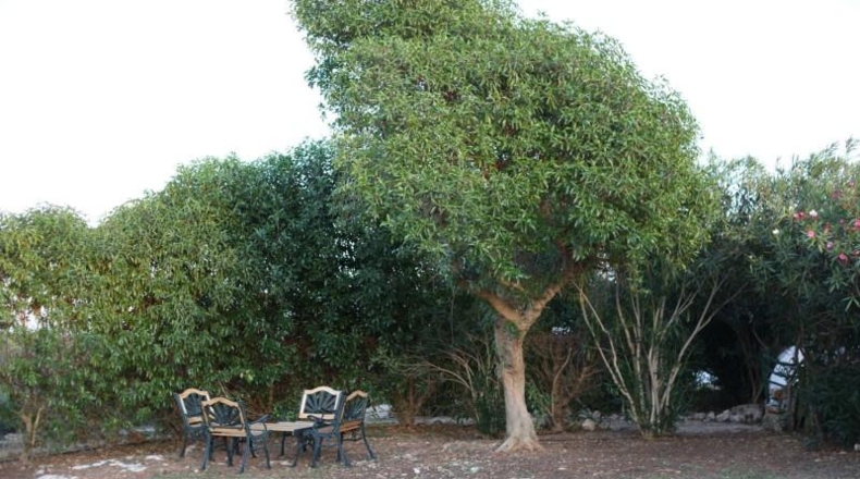 Balearic Islands - Mahón - 103000m2