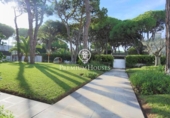 Finca rústica en venta en la España, Castelldefels, ref: TR301025 foto
