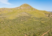 Detached villa with land for sale on España, Artà, ref: TR138673 photo