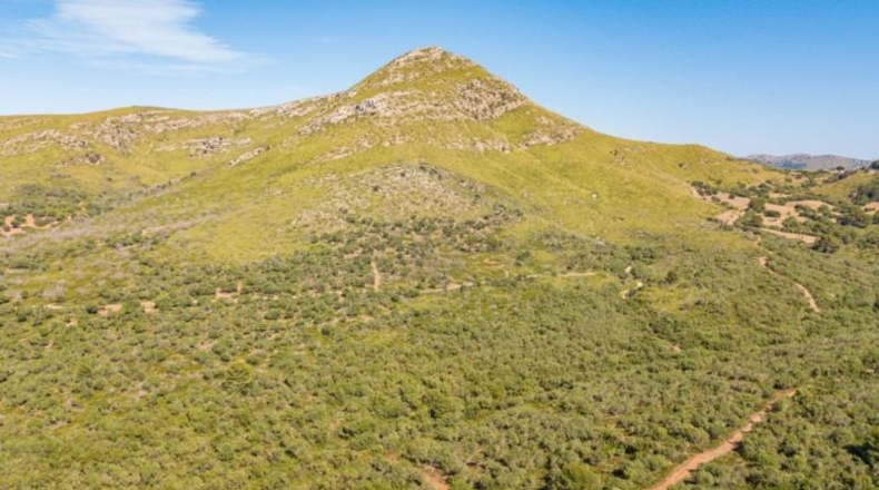 Islas Baleares - Artà - 5442649m2