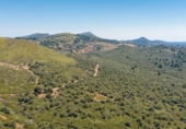 Detached villa with land for sale on España, Artà, ref: TR138673 photo