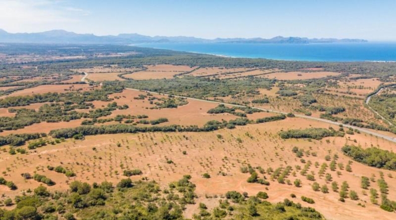 Illes Balears - Artá - 5442649m2