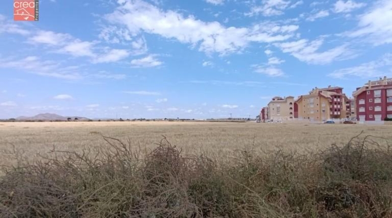 Murcia - Los Alcázares - 159405m2